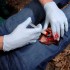 Аппликатор гемостатический с гранулами Rhino Rescue в Одинцово хитозановый